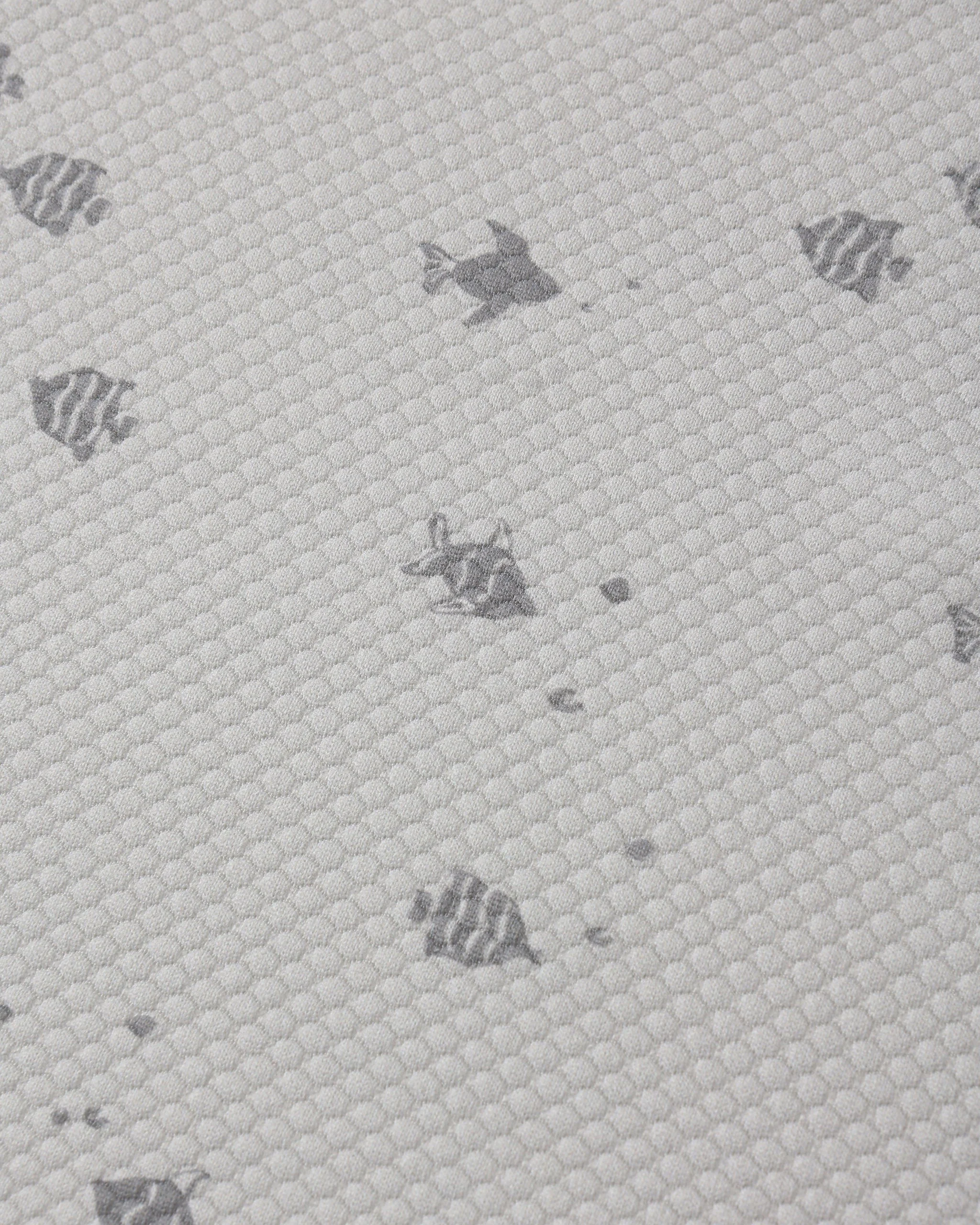 Finn Rashguard + Short Set Fish - Image 8